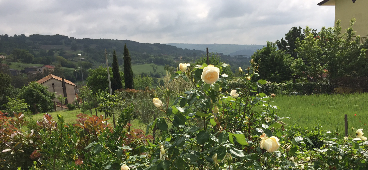 View From Prayer Garden Pietrelcina