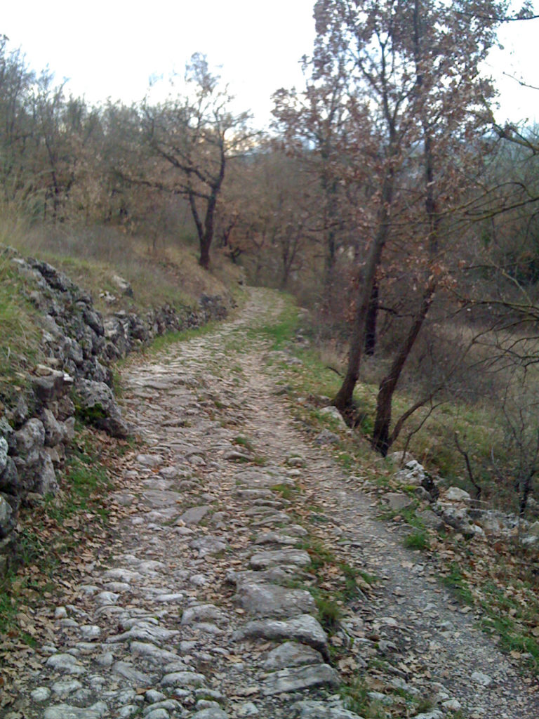 Rosary Walk Rough part