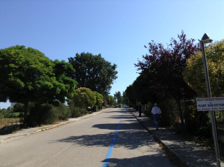 Road leading to the gates