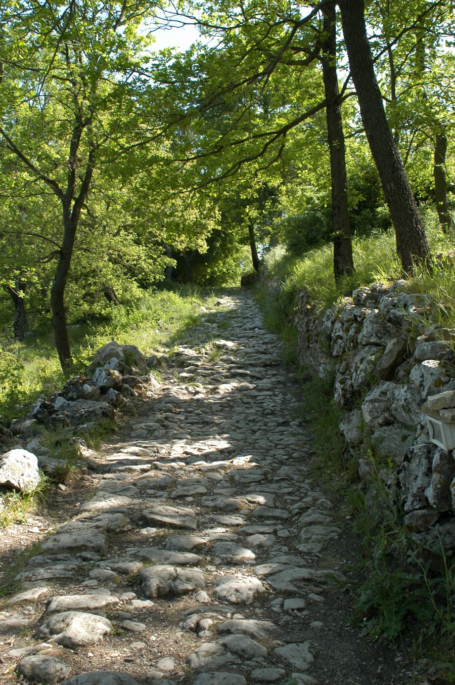 Rosary Walk Rocky path